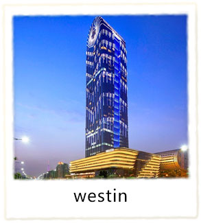 ɽ¶ѧԺ westin